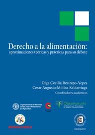 Derecho a la alimentación: aproximaciones teóricas y prácticas para su debate