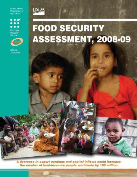 Food Security Assessment, 2008-09