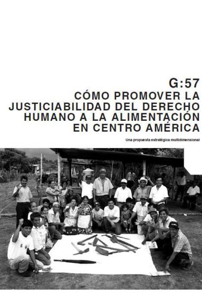 Cómo promover la justiciabilidad del Derecho Humano a la Alimentación