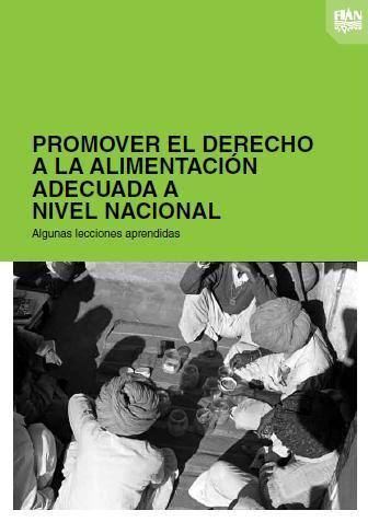 Promover el Derecho a la Alimentación Adecuada a Nivel Nacional: Algunas lecciones aprendidas