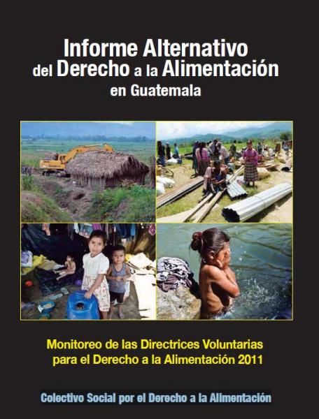 Informe Alternativo del Derecho a la Alimentación en Guatemala. Monitoreo de las Directrices Voluntarias para el Derecho a la Alimentación 2011.