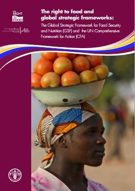 The right to food and global strategic frameworks