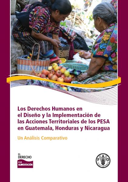 Los Derechos Humanos en el Diseño y la Implementación de las Acciones Territoriales de los PESA en Guatemala, Honduras y Nicaragua